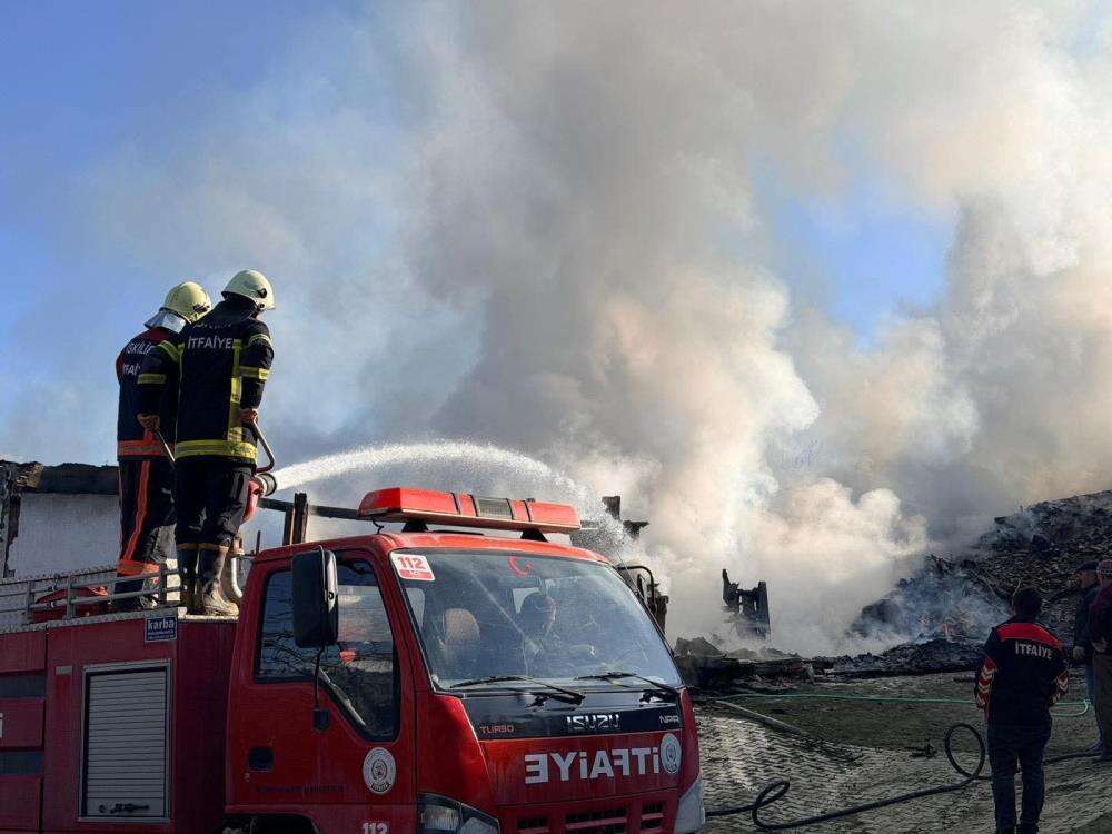 Köyde yangın çıktı, evler ve ahırlar küle döndü 1